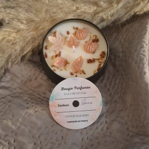 Bougie artisanale parfumée à la pomme - Aur'Bougie